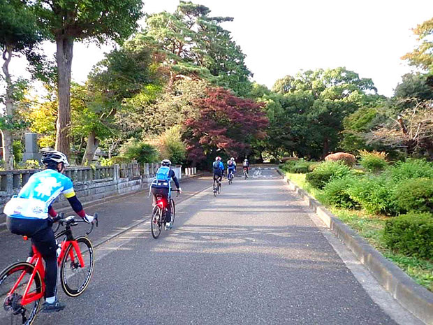 七曲り峠+東京競馬場 100K